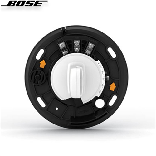 Loa Bose FreeSpace DS 40SE 19